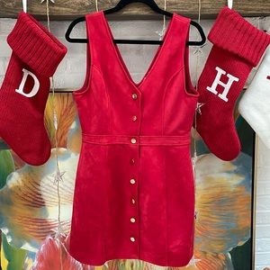 Suede Button Skater Dress